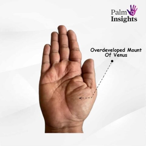 Mount Of Venus In Palmistry A Quick And Easy Guide