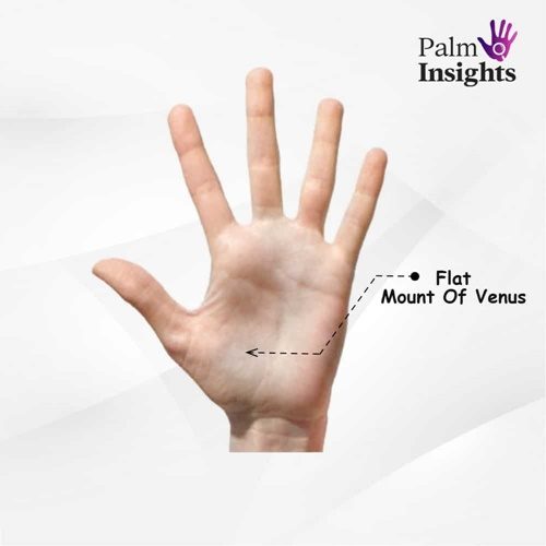 Mount Of Venus In Palmistry A Quick And Easy Guide