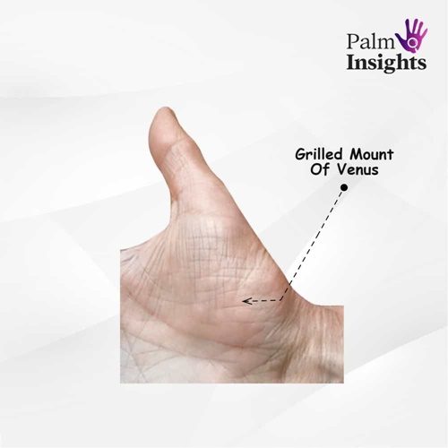 Mount Of Venus In Palmistry A Quick And Easy Guide