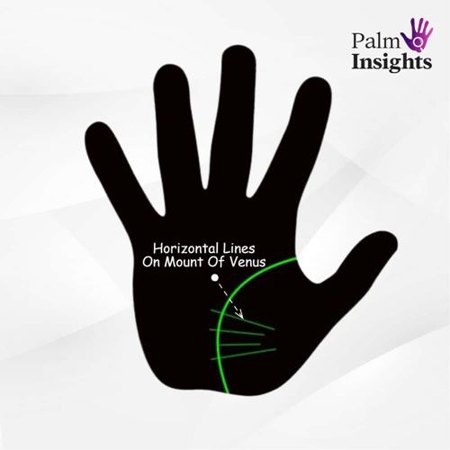 Mount Of Venus In Palmistry A Quick And Easy Guide!
