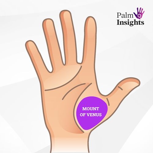 Mount Of Venus In Palmistry A Quick And Easy Guide!