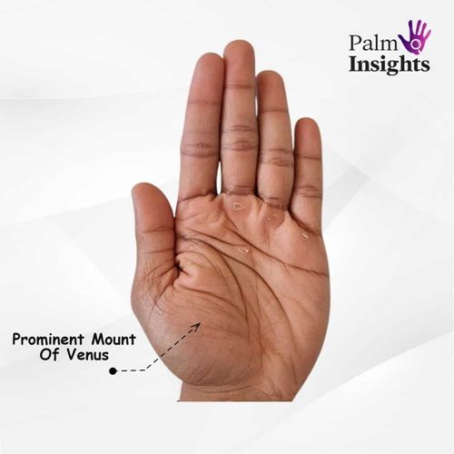 Mount Of Venus In Palmistry: A Quick And Easy Guide!