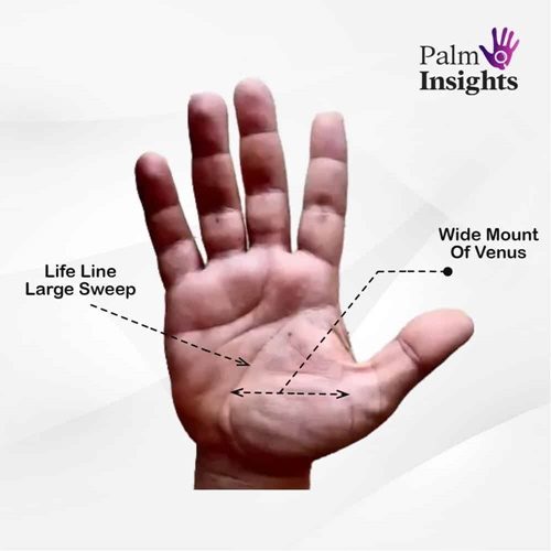 Mount Of Venus In Palmistry: A Quick And Easy Guide!