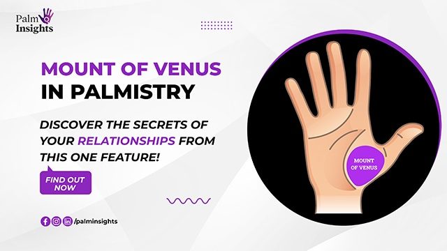 mount-of-venus-in-palmistry-a-quick-and-easy-guide